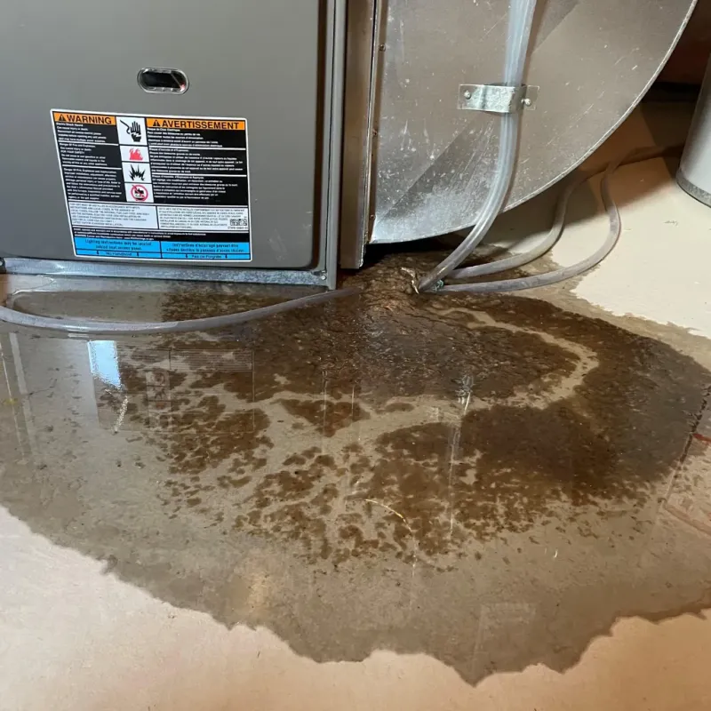 Appliance Leak Cleanup in Laie, HI