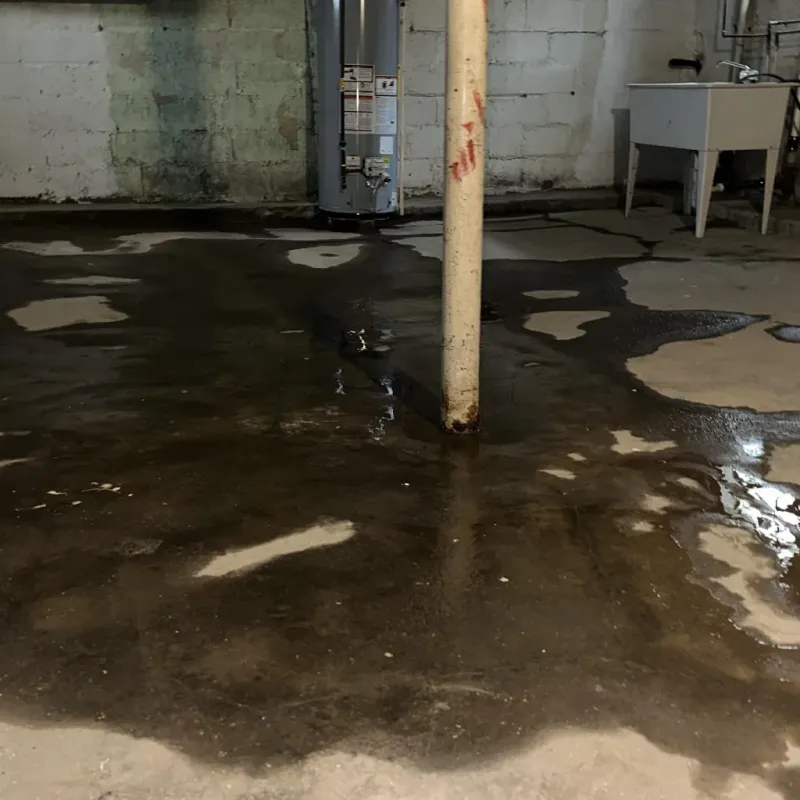 Emergency Water Extraction And Removal in Laie, HI